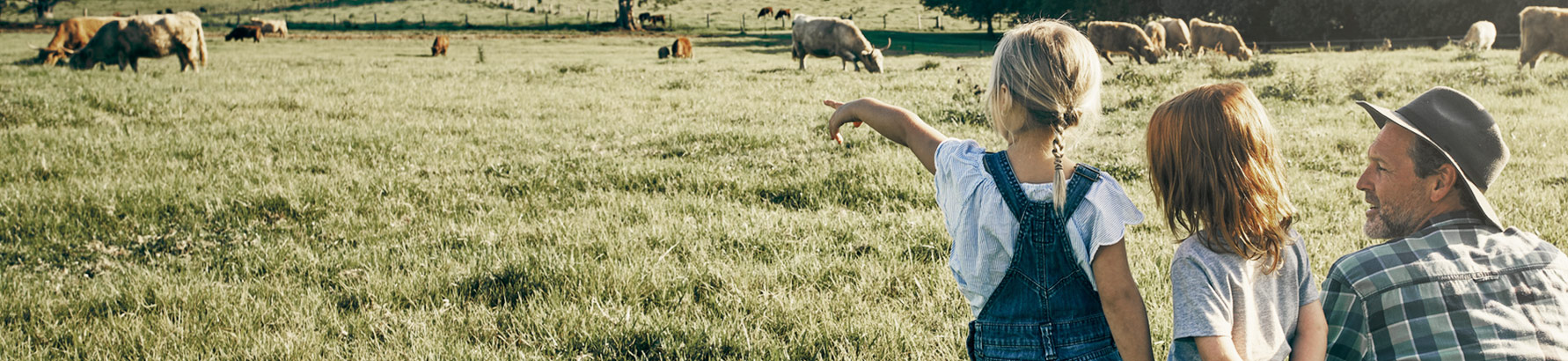 Man and two children in pasture looking at farm animals