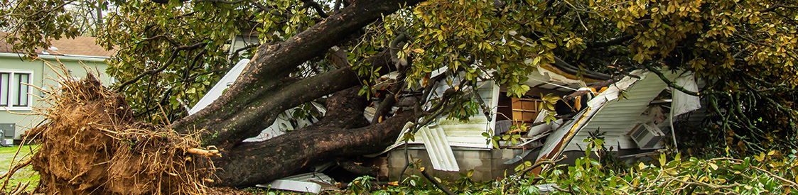 How to Avoid Storm-Related Scams 