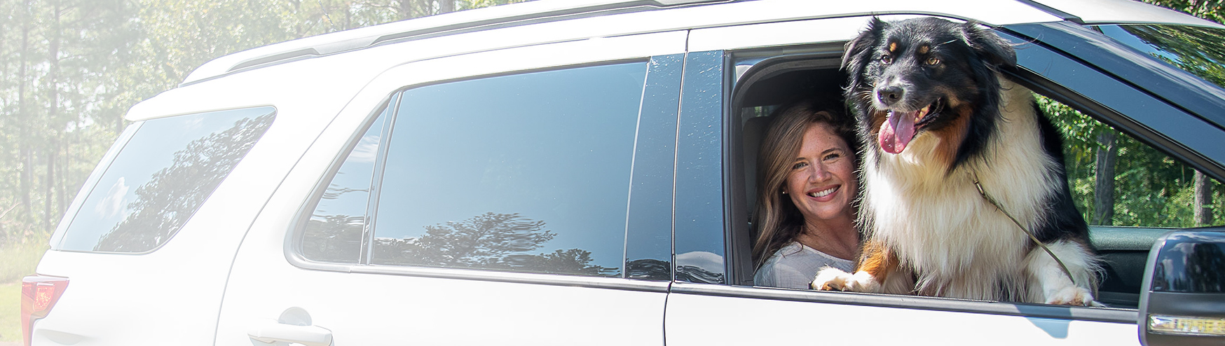 Woman in car with dog