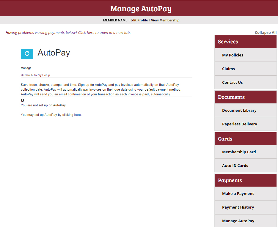 Setup Auto Pay Step 6