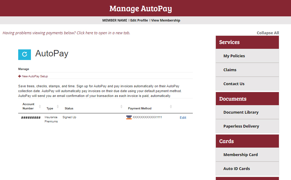 Setup Auto Pay Step 8