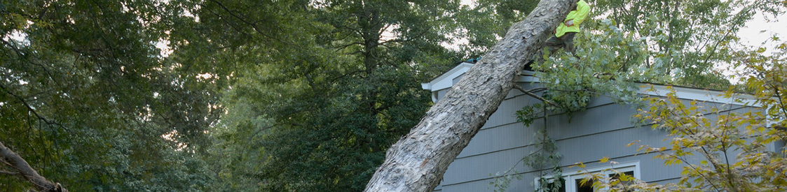 Top 10 Storm Fraud Tips