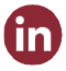 linkedinicon-2021