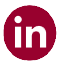 linkedinicon-2021