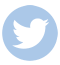 twitter-hover