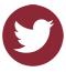 twitterricon-2021